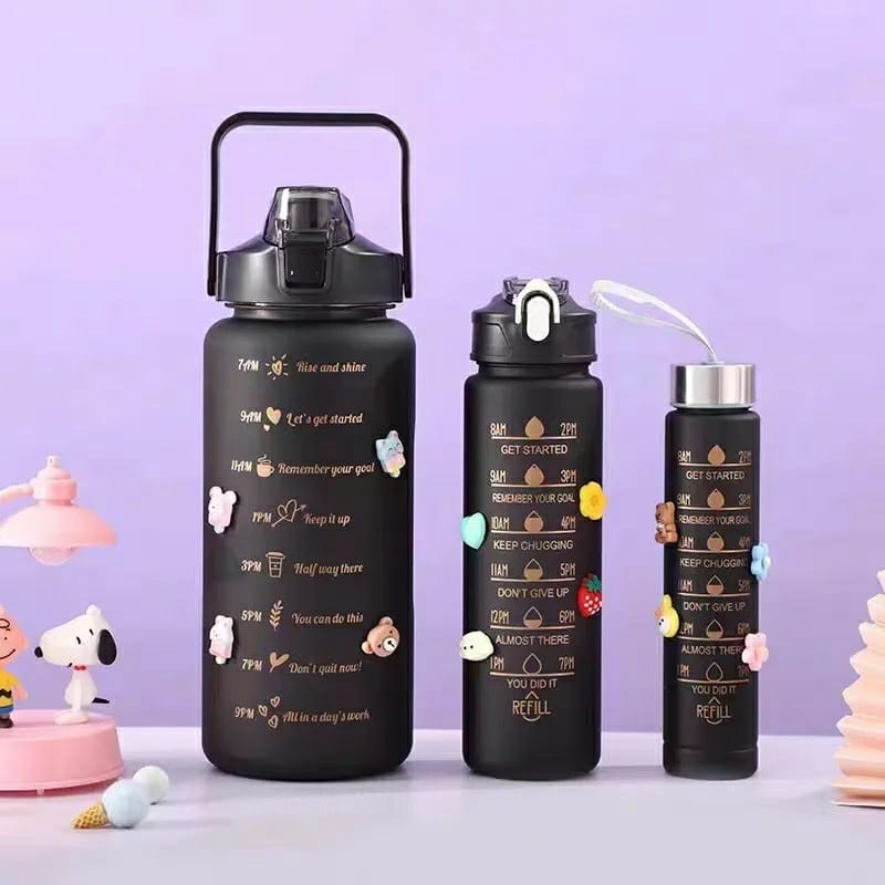 3 in 1 BPA water bottle with STICKERS